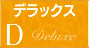 デラックスタイプD